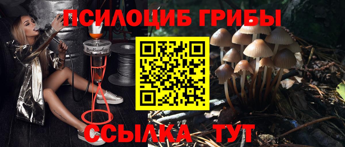 Псилоцибиновые грибы Psilocybine cubensis  Псилоцибиновые грибы прущие грибы  Тихвин  Вход с VPN 