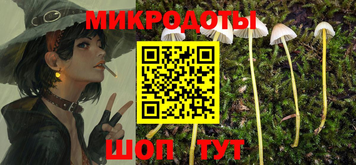 Псилоцибиновые грибы Psilocybe Тихвин